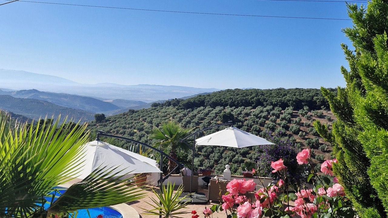 Photo of Outdoor in Loja