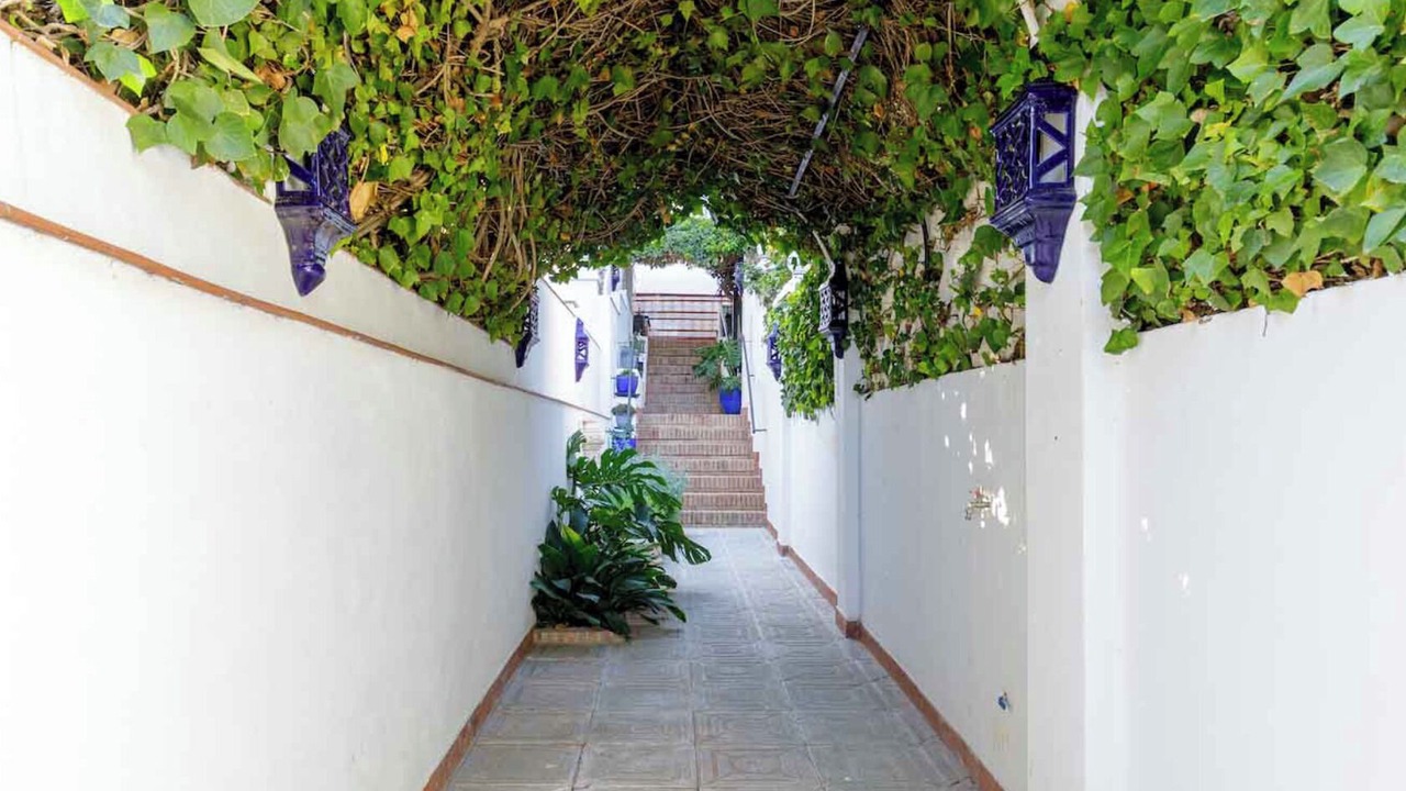 Photo of Outdoor in Malaga-Este