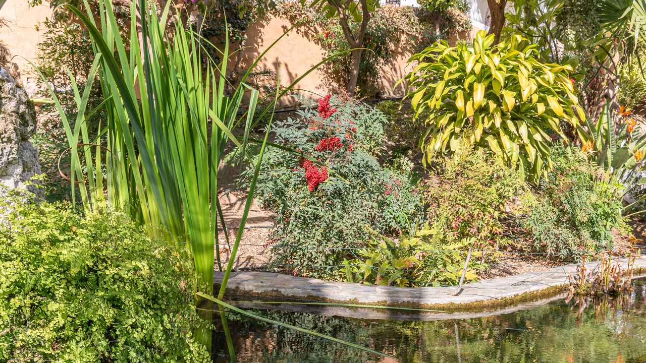 Photo of Outdoor in Oasis del Capistrano