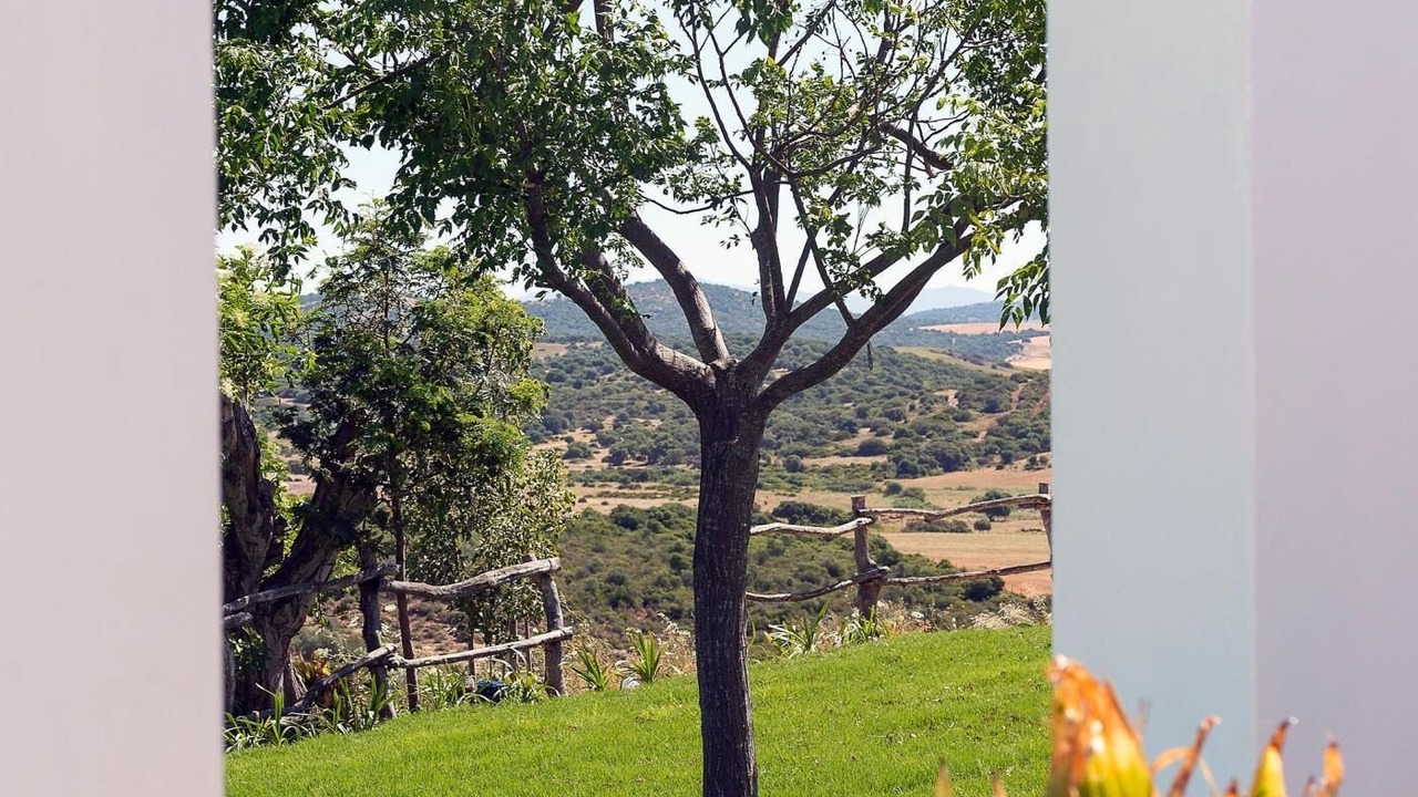 Photo of Outdoor in Conil de la Frontera