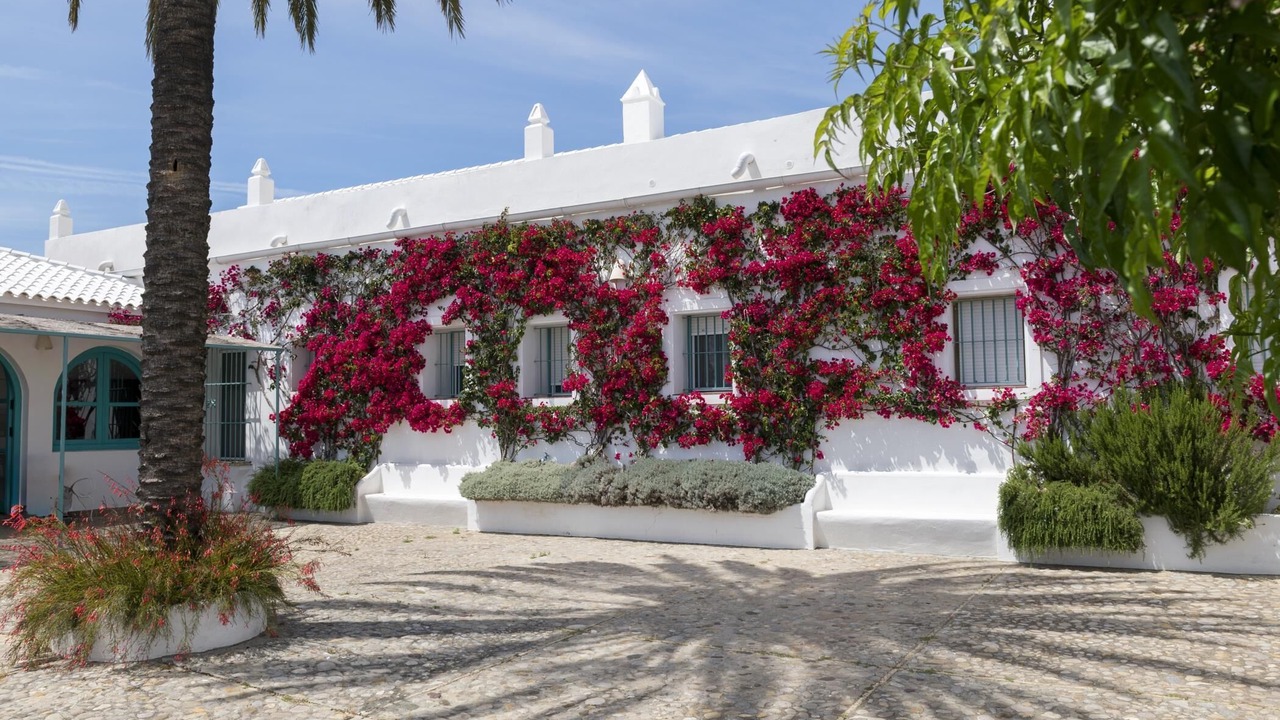 Photo of Outdoor in Conil de la Frontera