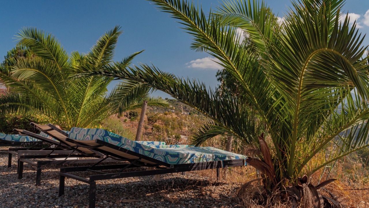 Photo of Outdoor in Guaro