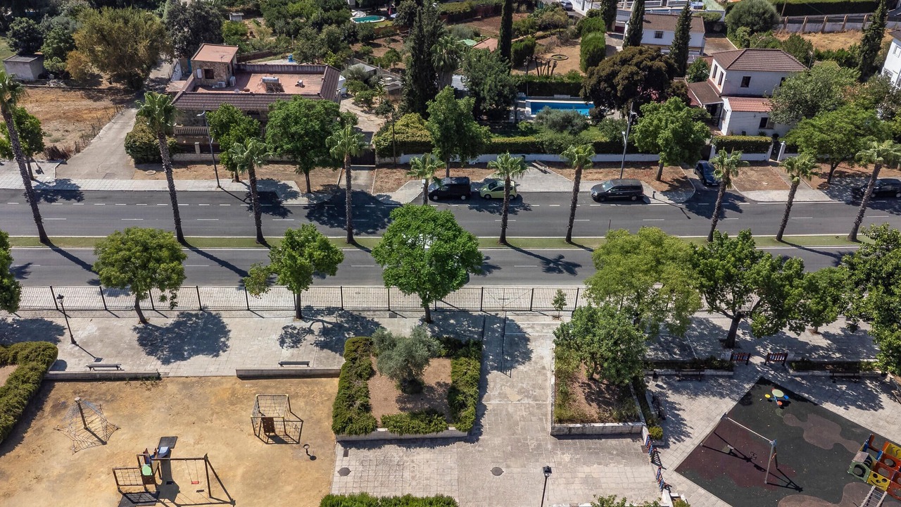 Photo of Others in Guillena