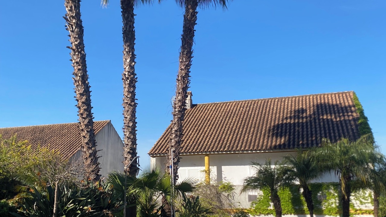 Photo of Outdoor in Cordoba