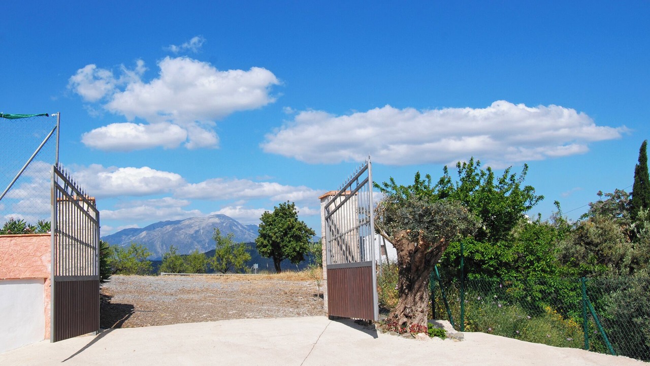 Photo of Others in Comares