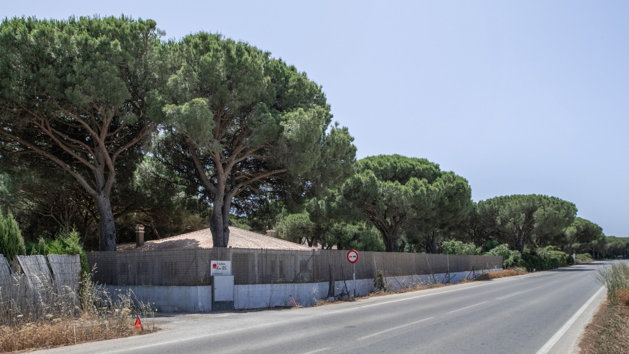 Photo of Others in Conil de la Frontera