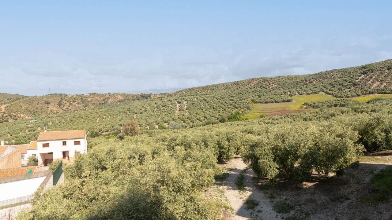 Photo of Others in Villanueva de Tapia