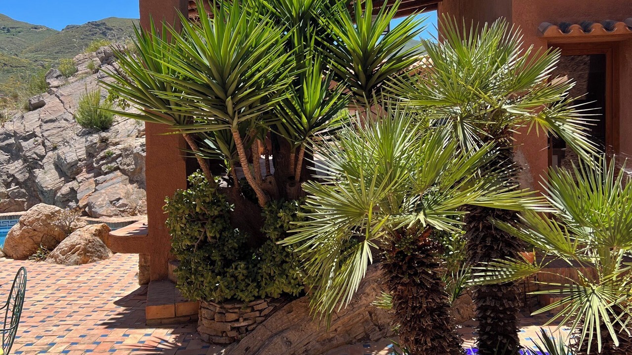 Photo of Patio Balcony in Turre