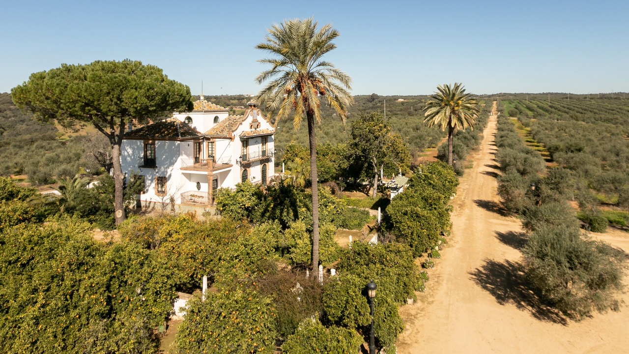Photo of Others in Gerena
