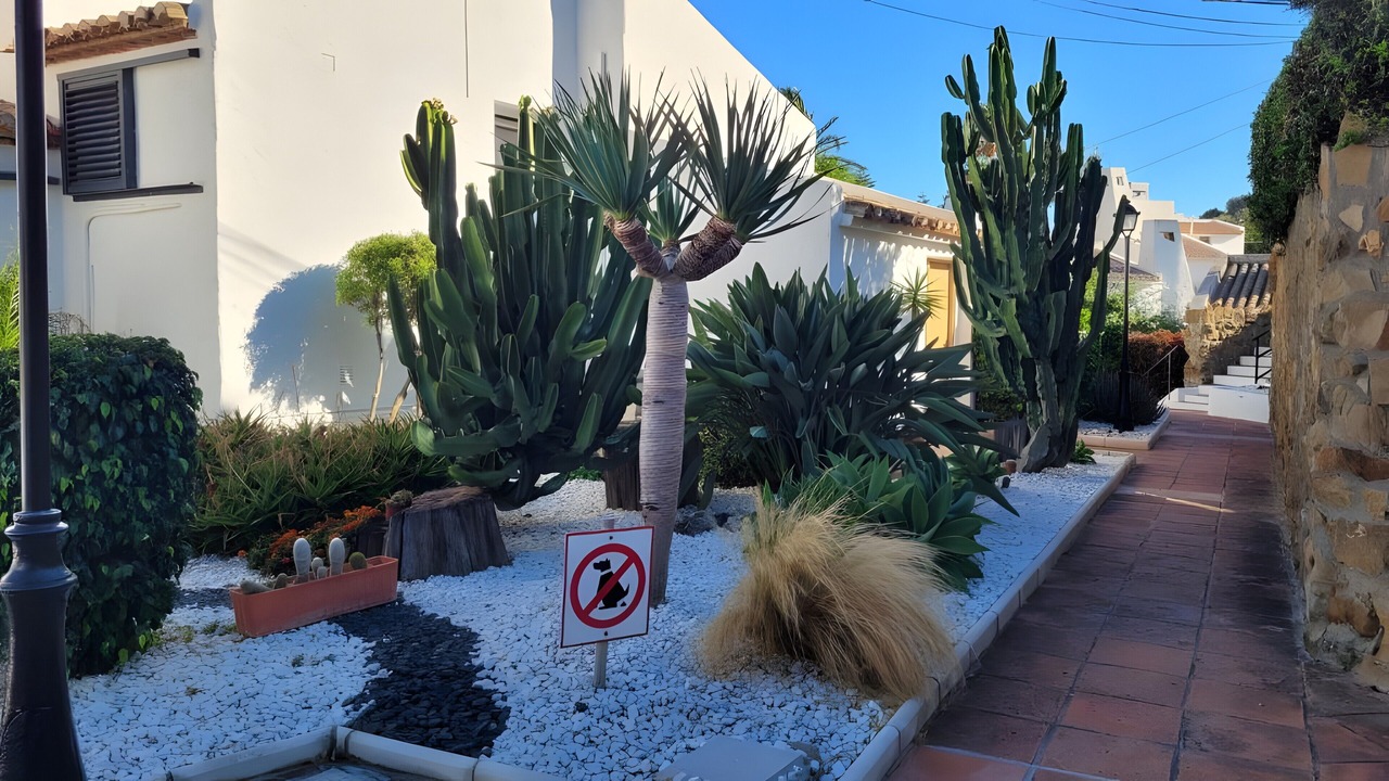 Photo of Outdoor in Bahia Dorada