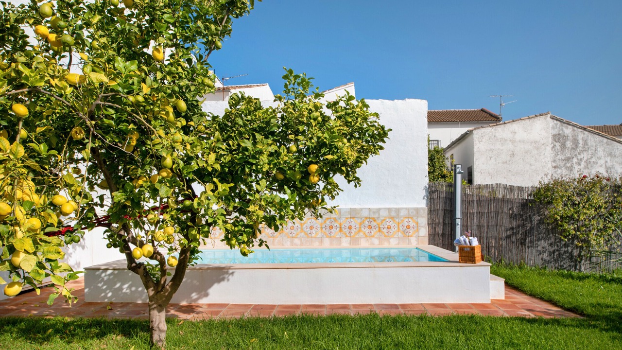 Photo of Outdoor in Algodonales