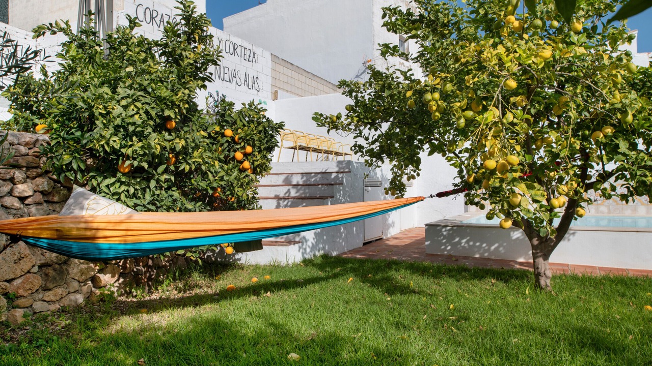 Photo of Outdoor in Algodonales
