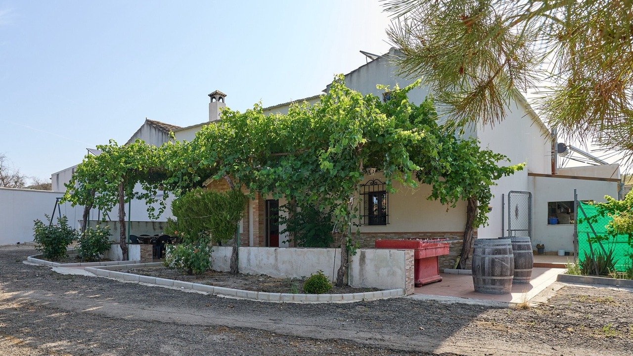 Photo of Outdoor in Montilla