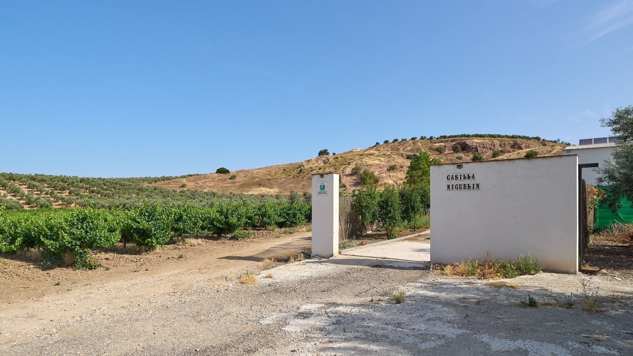 Photo of Outdoor in Montilla