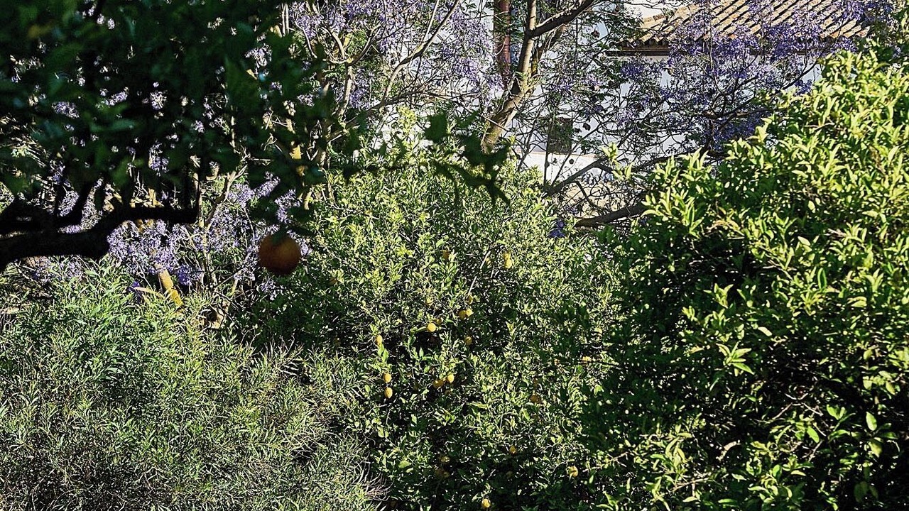 Photo of Outdoor in Arcos de la Frontera
