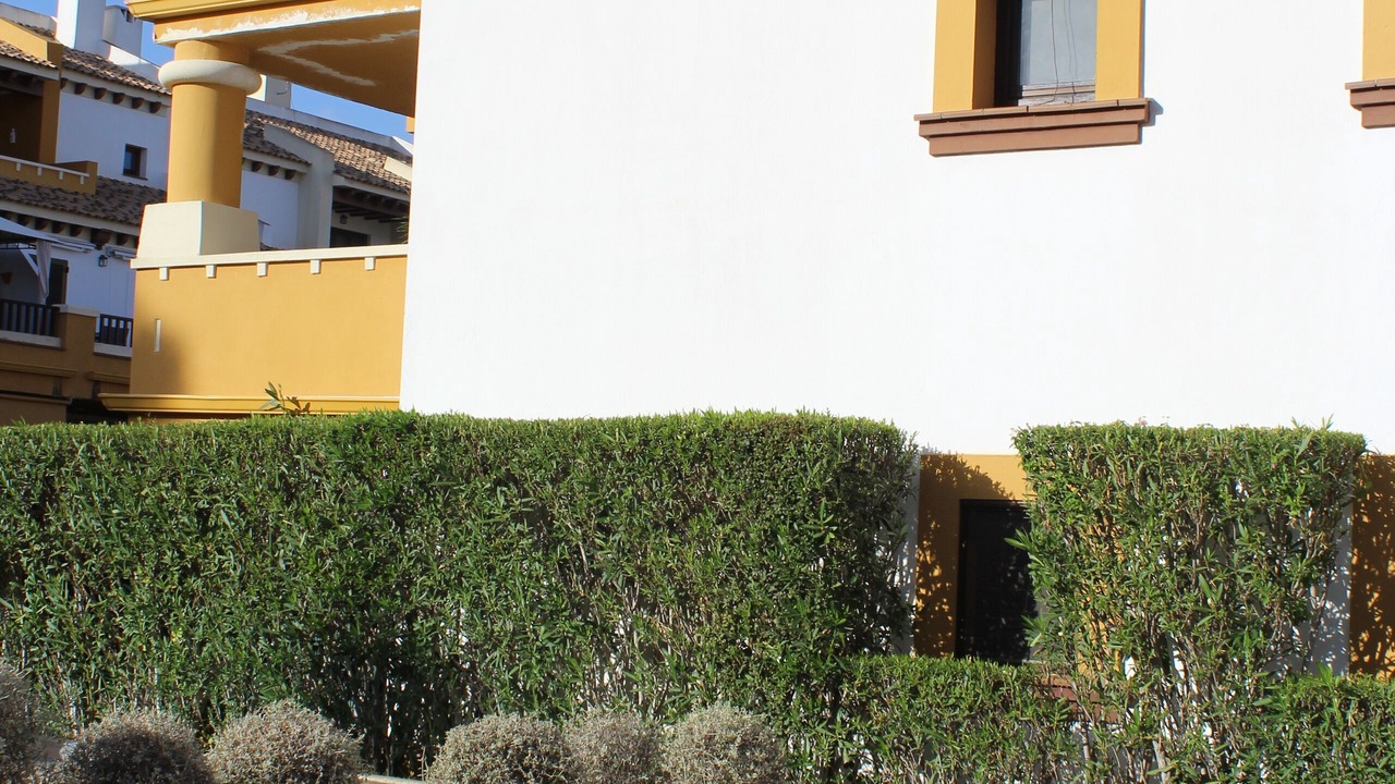 Photo of Outdoor in Costa Esuri