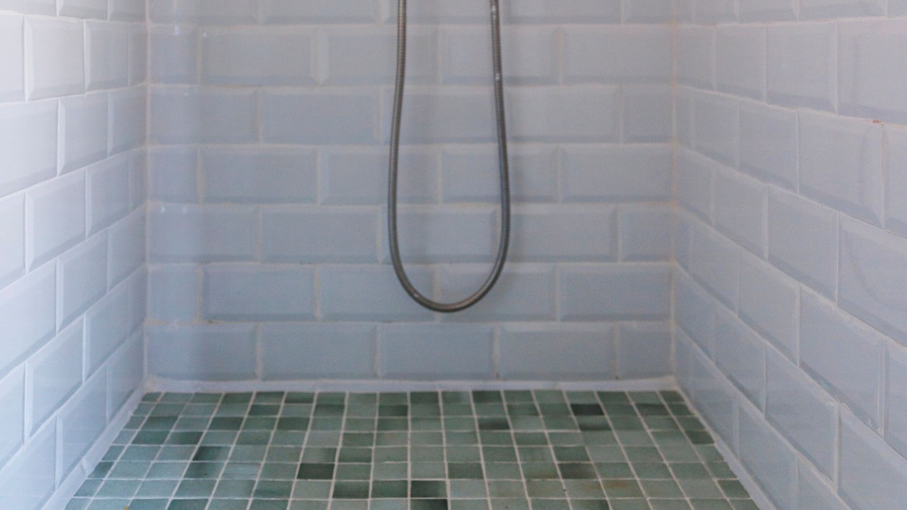 Photo of Bathroom in Zambra