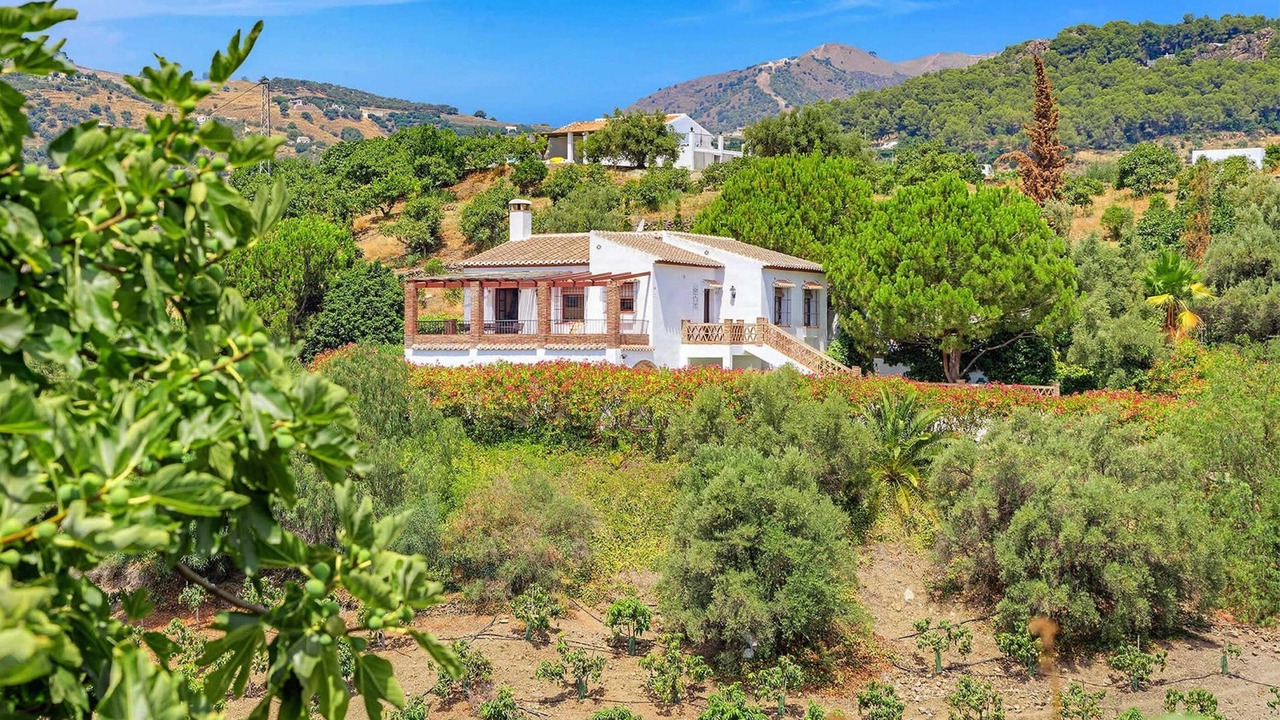 Photo of Others in Frigiliana