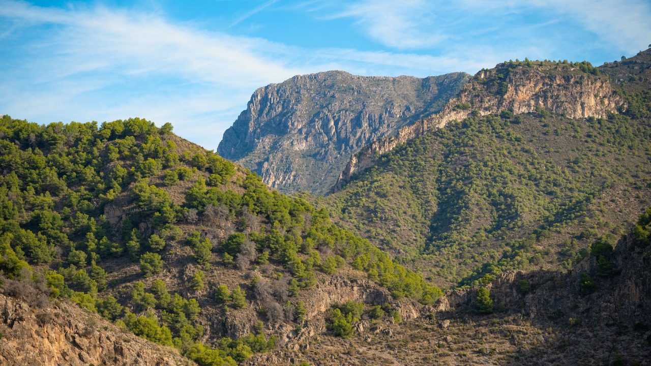 Photo of Others in Frigiliana