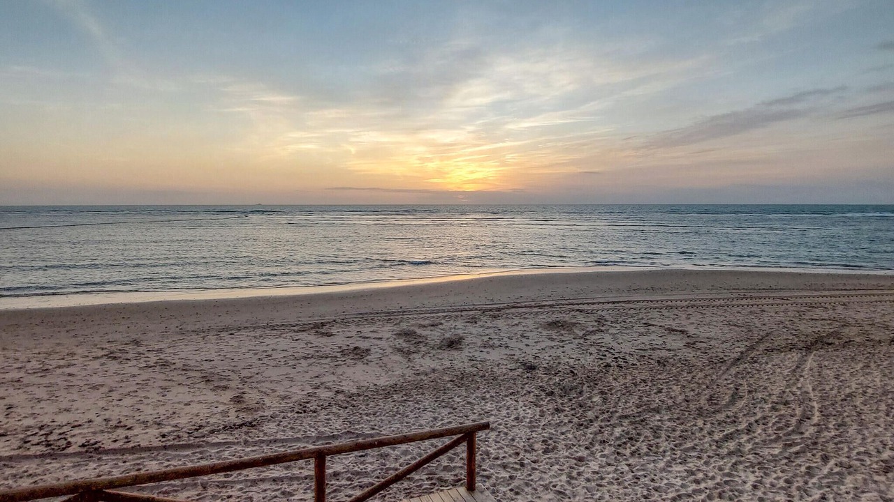 Photo of Others in Rota