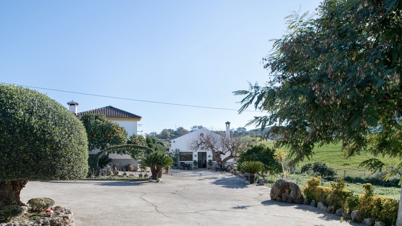 Photo of Outdoor in Prado del Rey