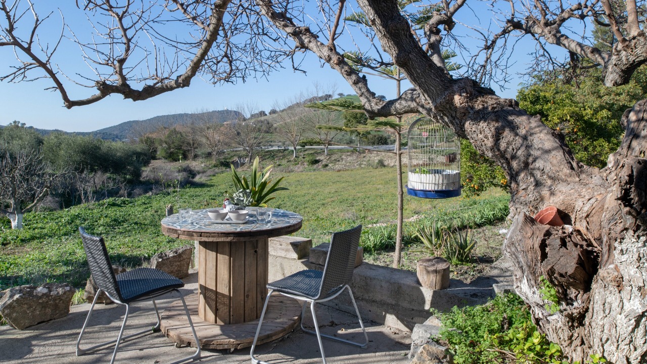 Photo of Outdoor in Prado del Rey