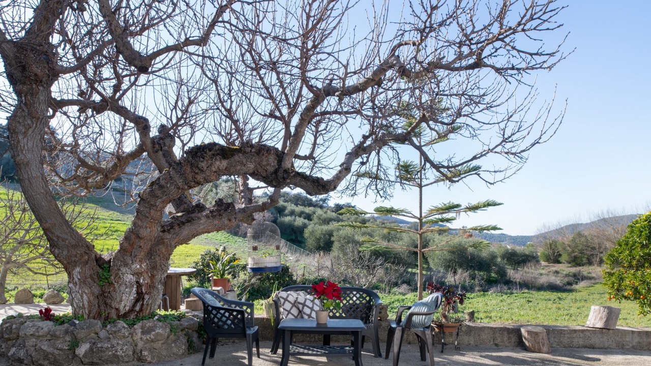 Photo of Patio Balcony in Prado del Rey