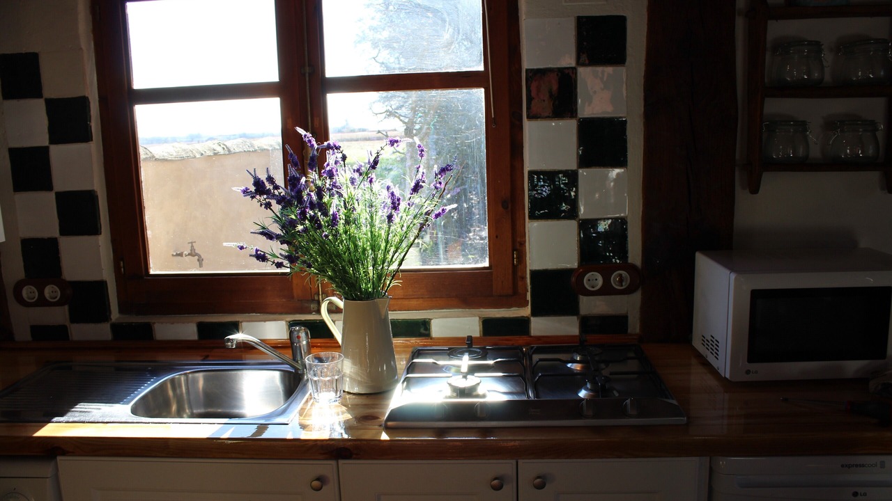 Photo of Kitchen in Saldana