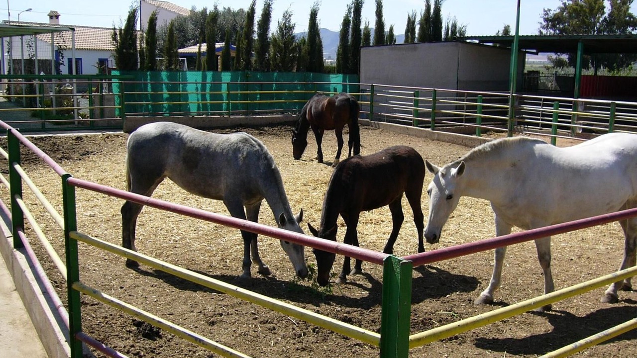 Photo of Others in Majada del Moro