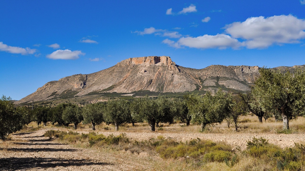 Photo of Others in Lorca