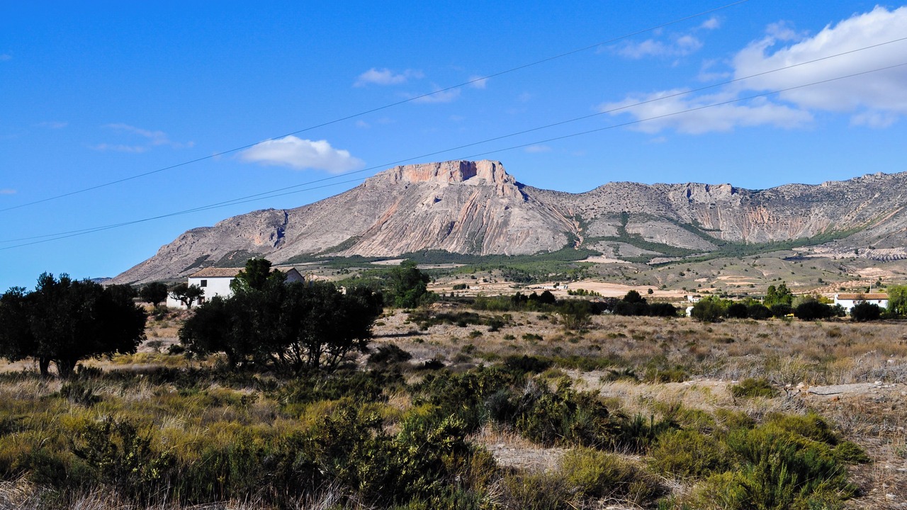 Photo of Others in Lorca