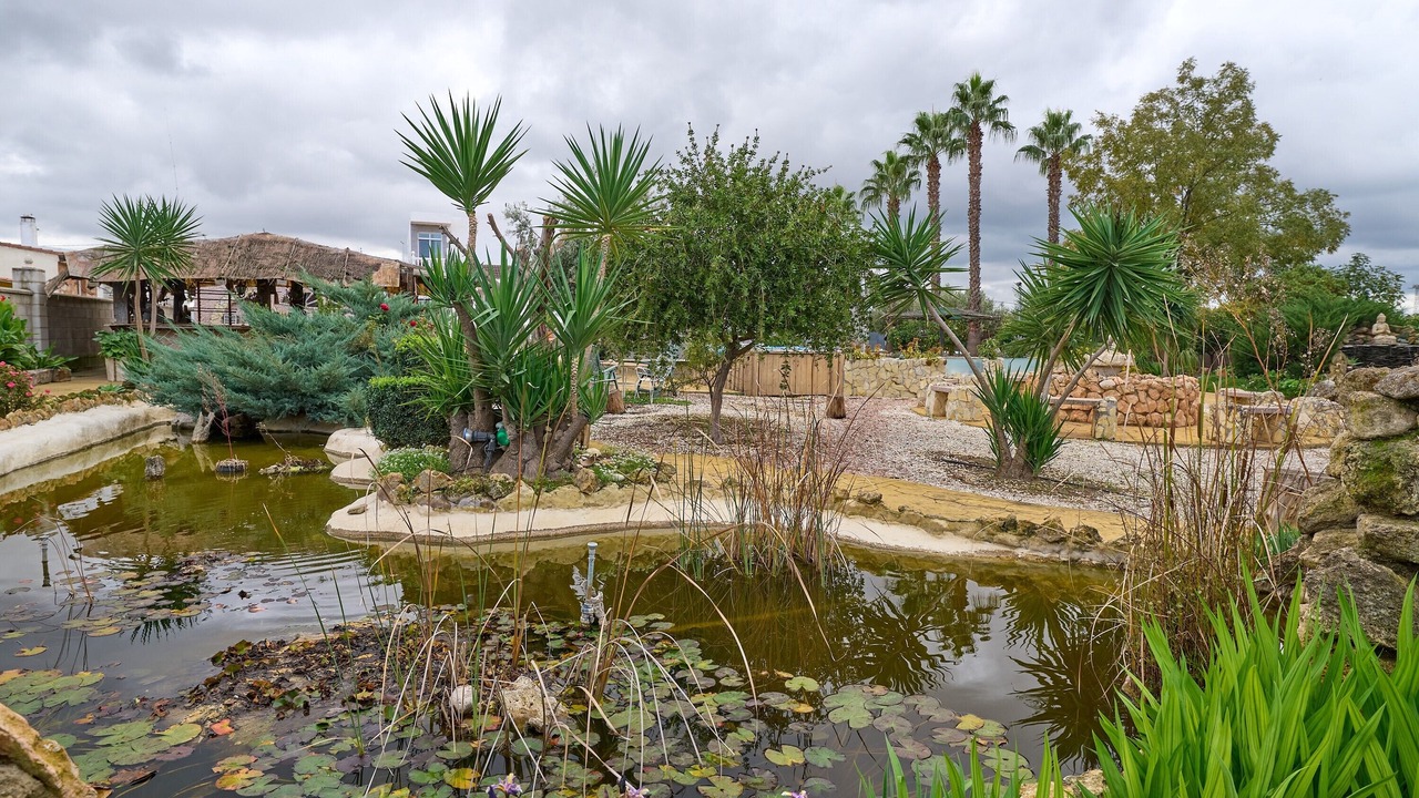 Photo of Outdoor in La Carlota