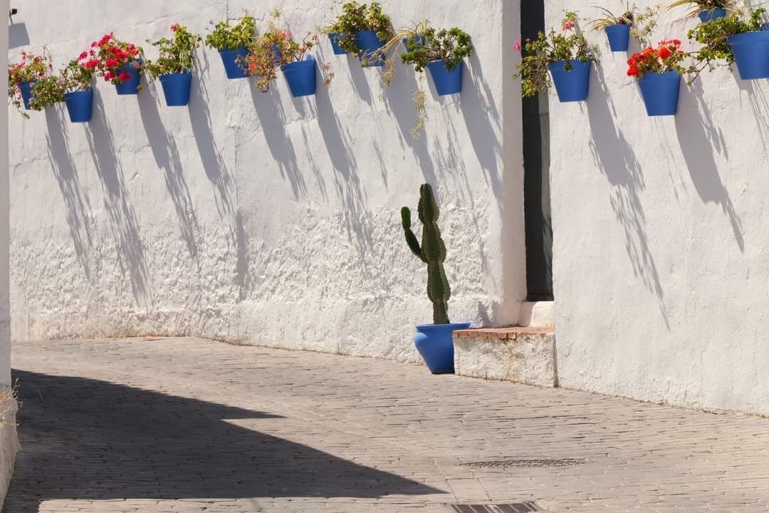 Photo of Outdoor in Carratraca