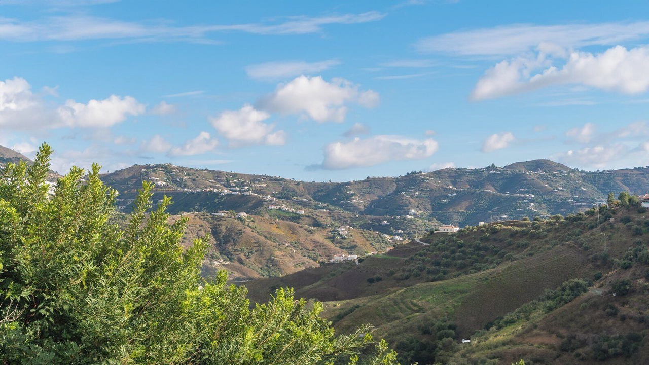 Photo of Others in Canillas de Albaida