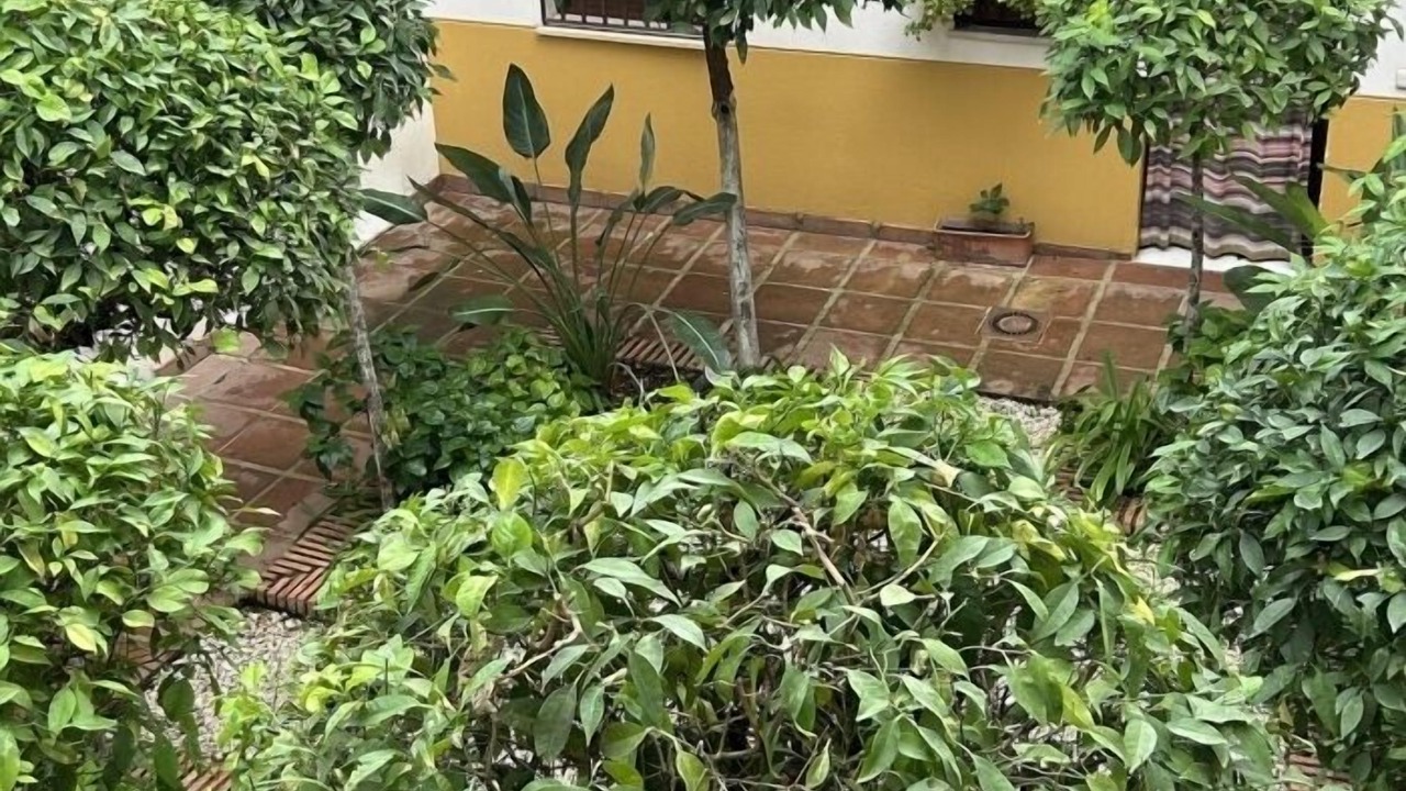 Photo of Outdoor in San Pedro