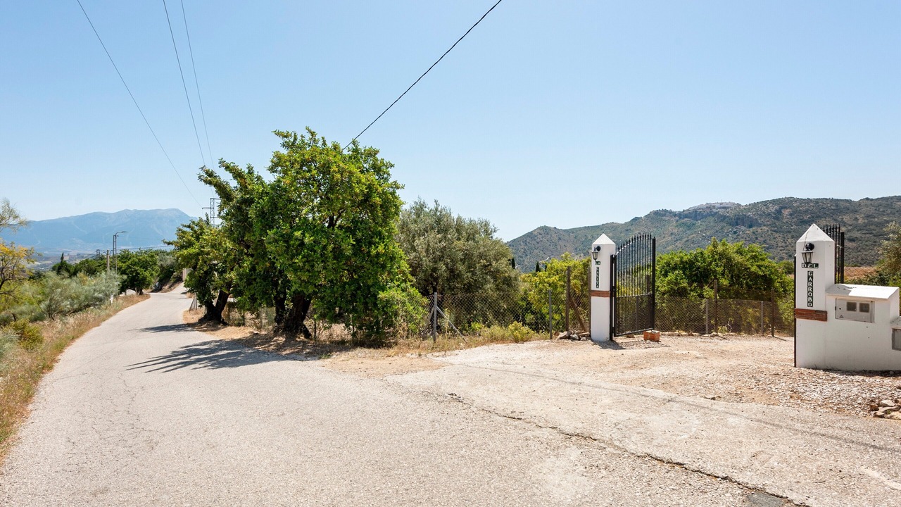 Photo of Outdoor in Comares