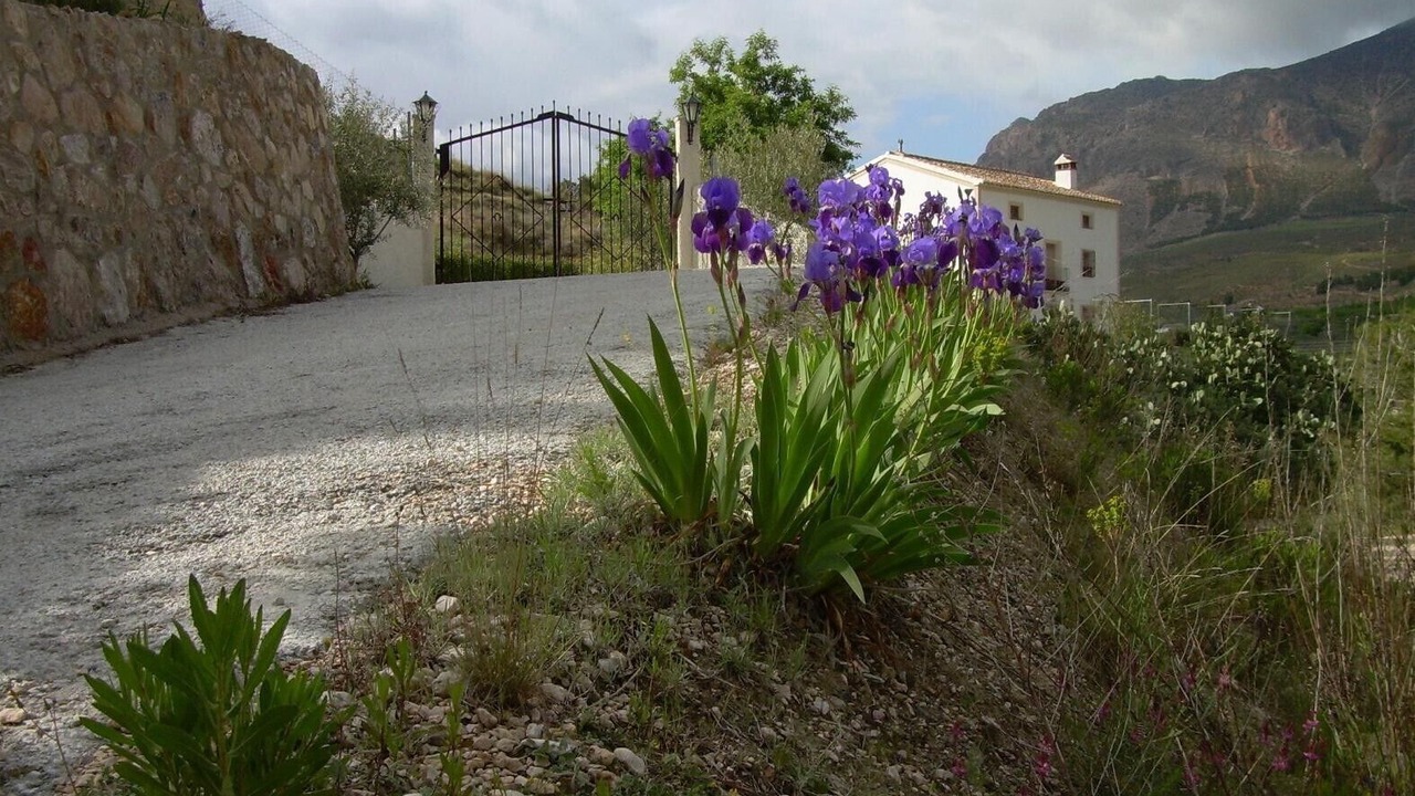 Photo of Outdoor in Velez-Blanco