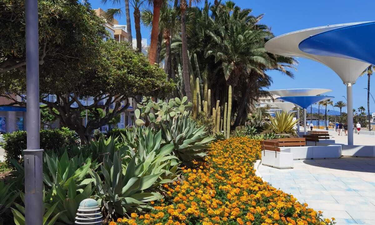 Photo of Outdoor in Historic Center of Estepona