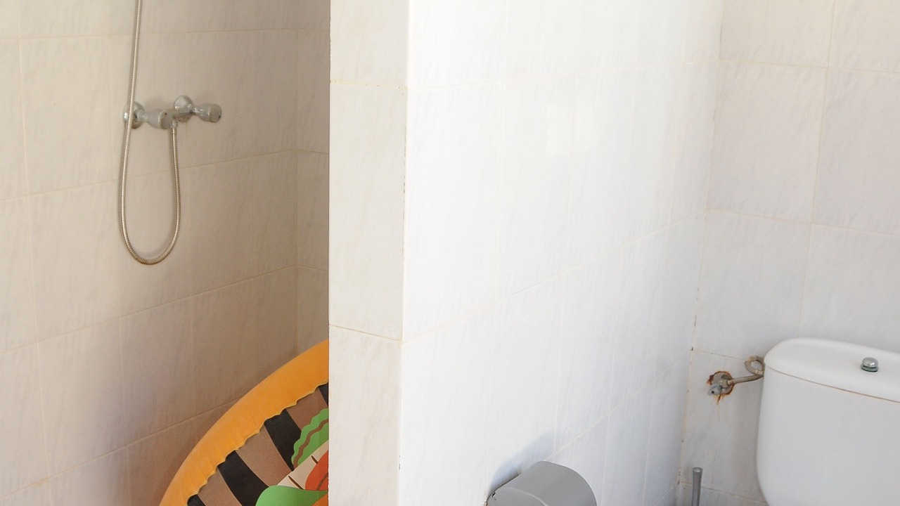 Photo of Bathroom in Badolatosa