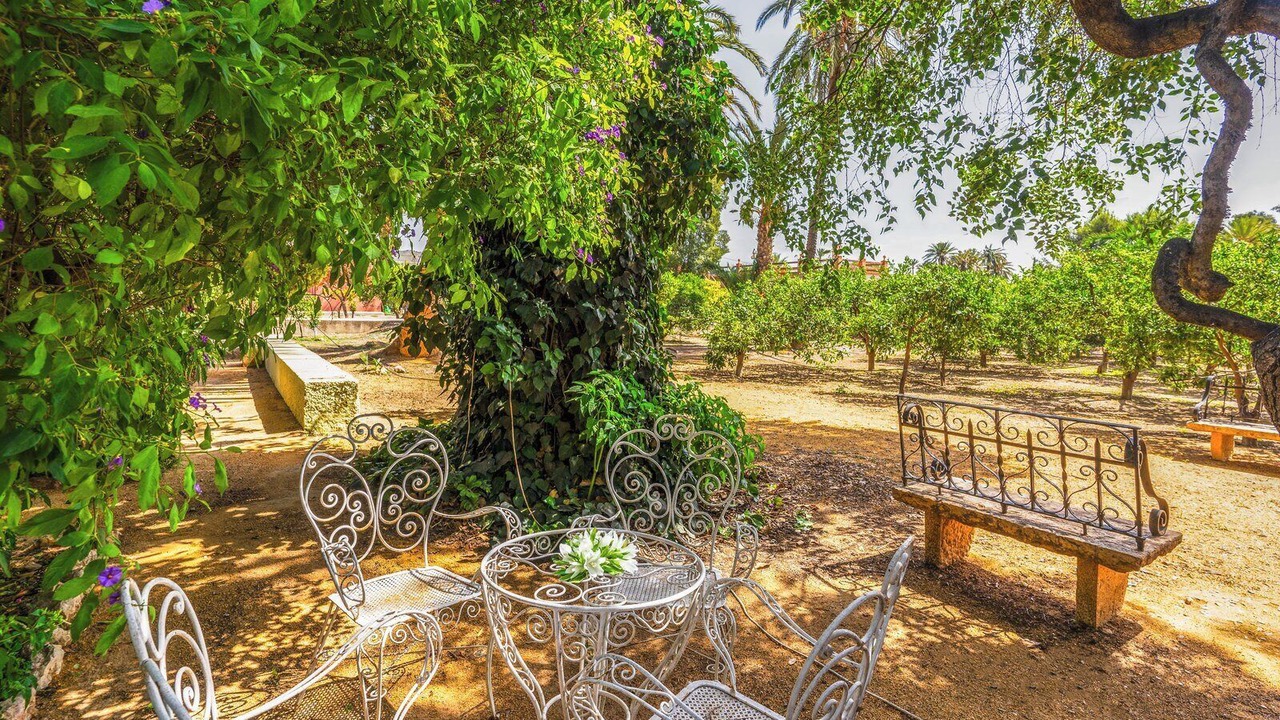 Photo of Patio Balcony in La Alfoquia