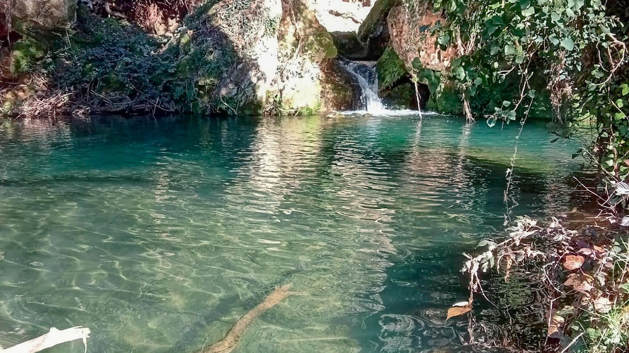 Photo of Others in San Nicolas del Puerto