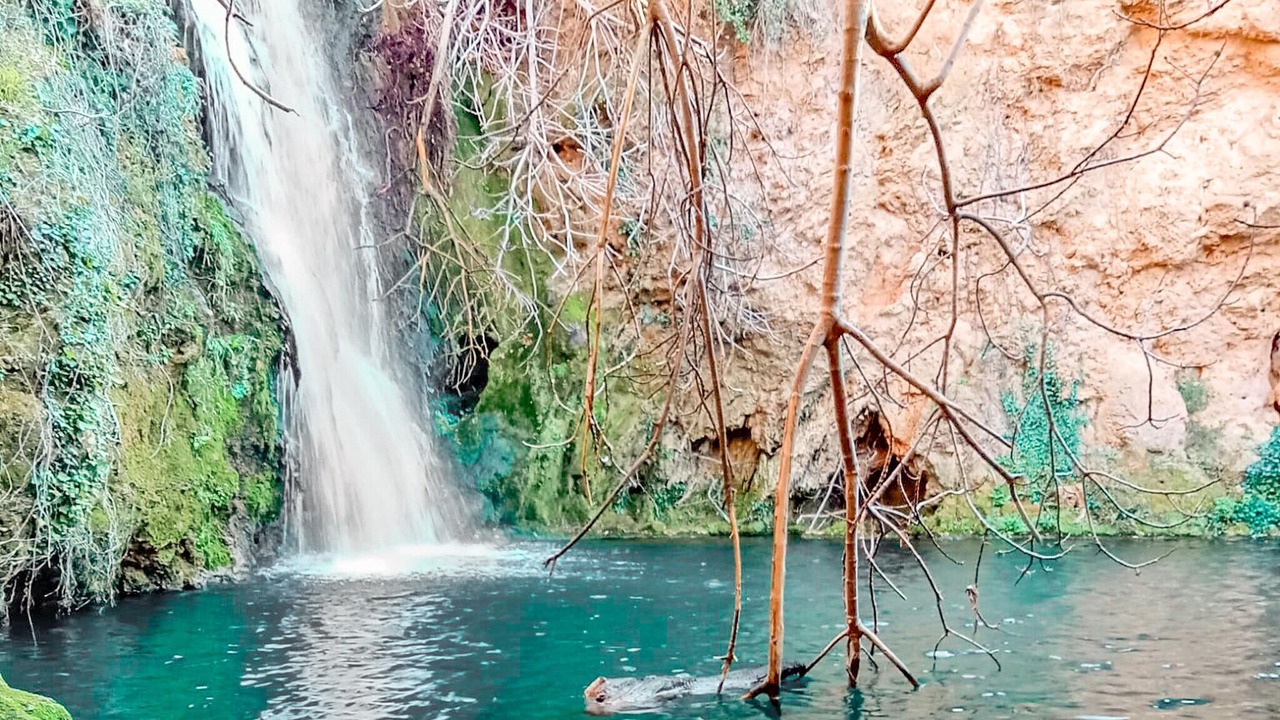 Photo of Others in San Nicolas del Puerto