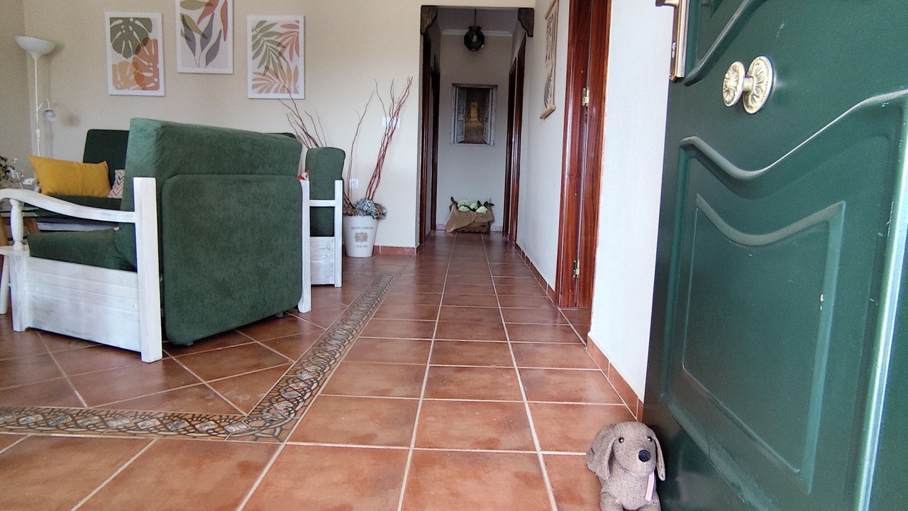 Photo of Others in Guillena