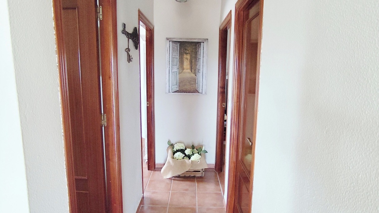 Photo of Others in Guillena
