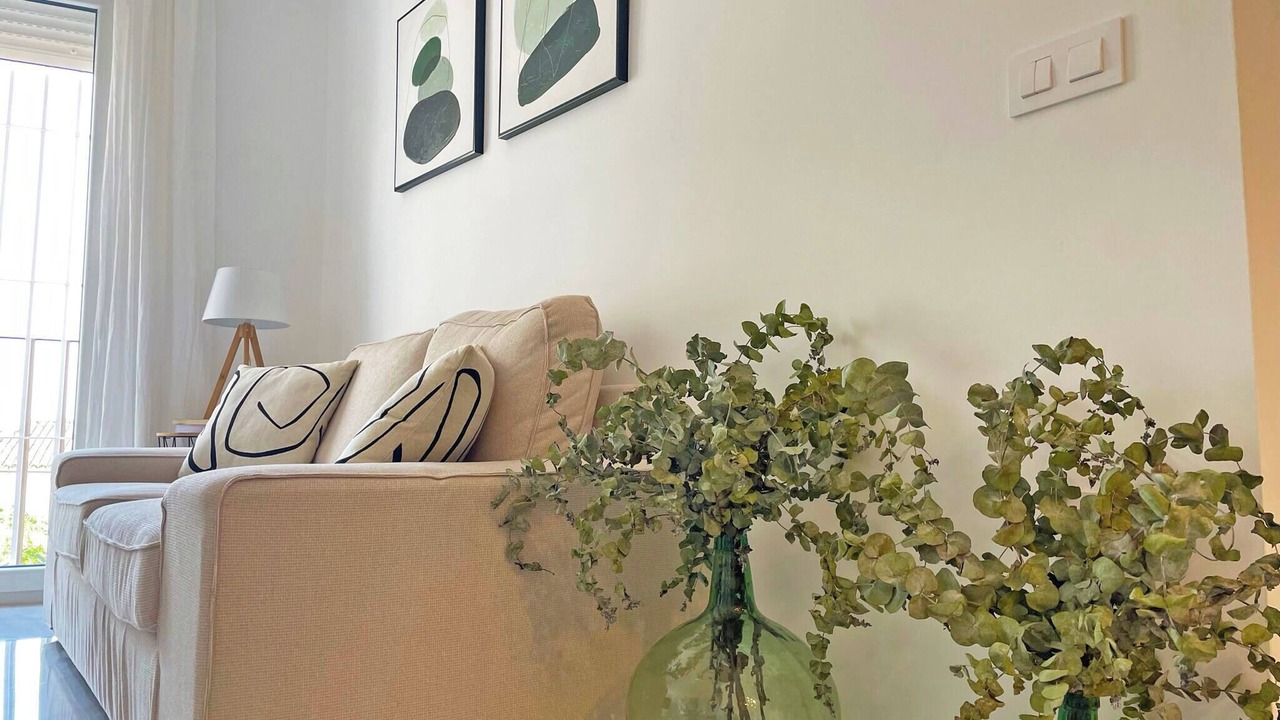 Photo of Livingroom in Jerez de la Frontera Old Town