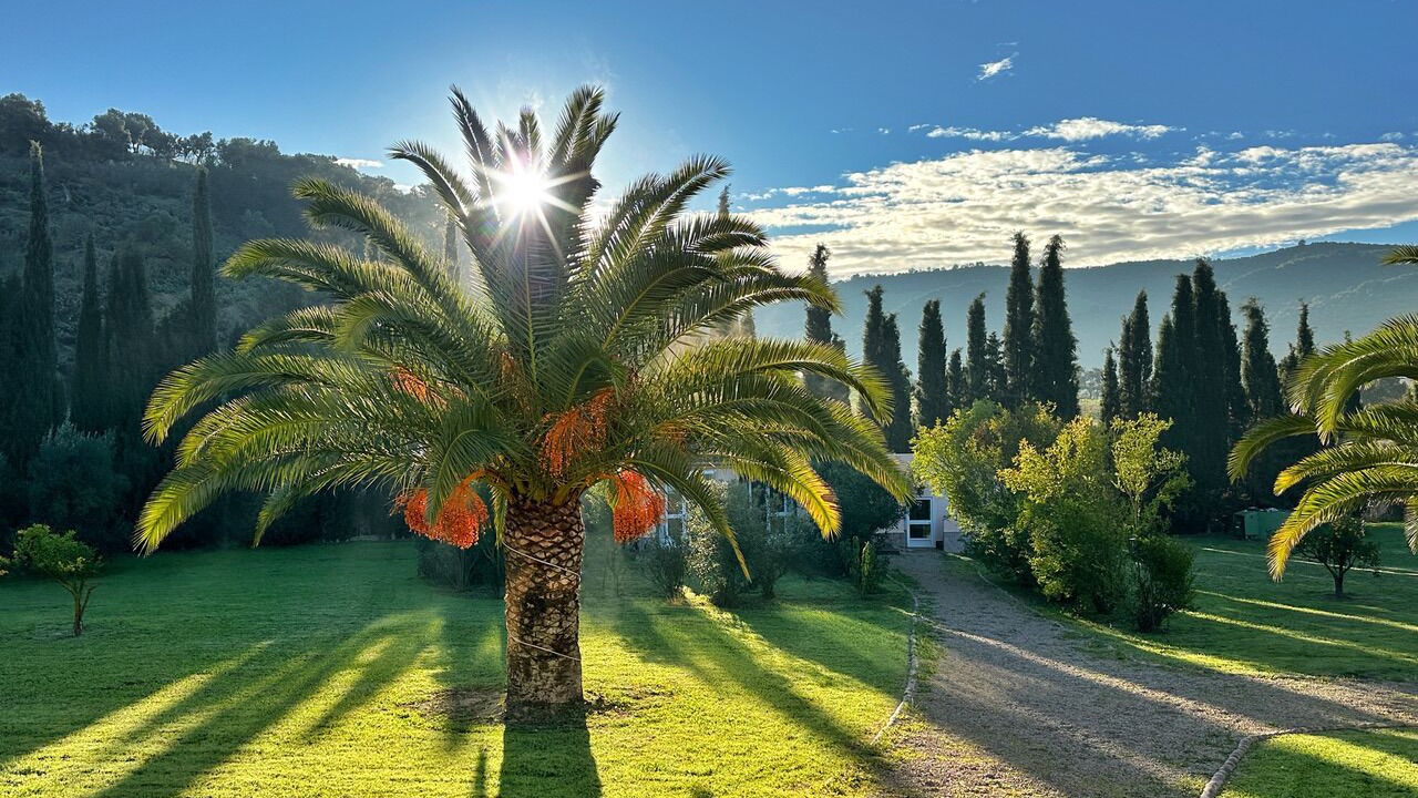 Photo of Outdoor in Olvera