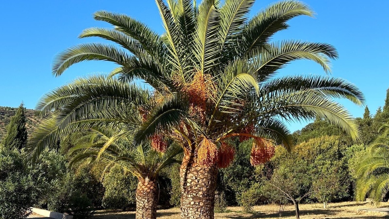 Photo of Outdoor in Olvera