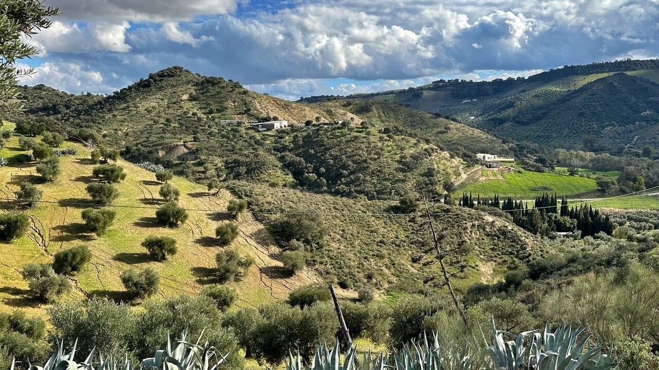 Photo of Others in Olvera