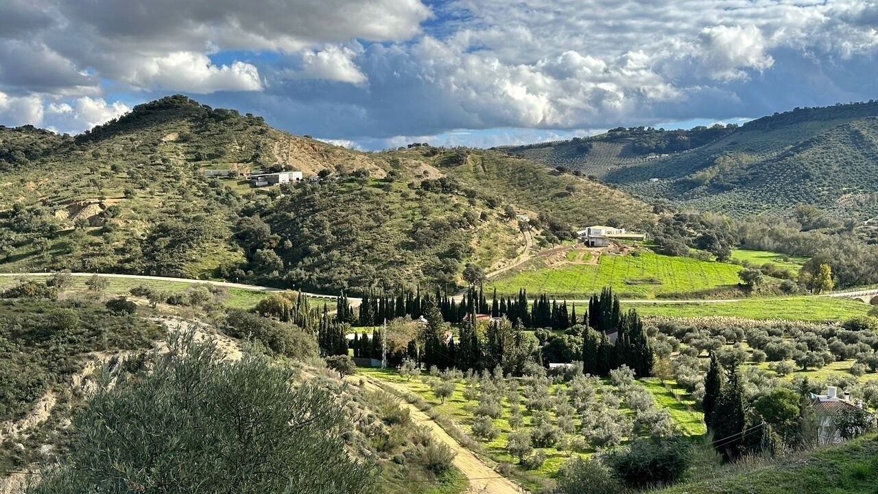 Photo of Others in Olvera