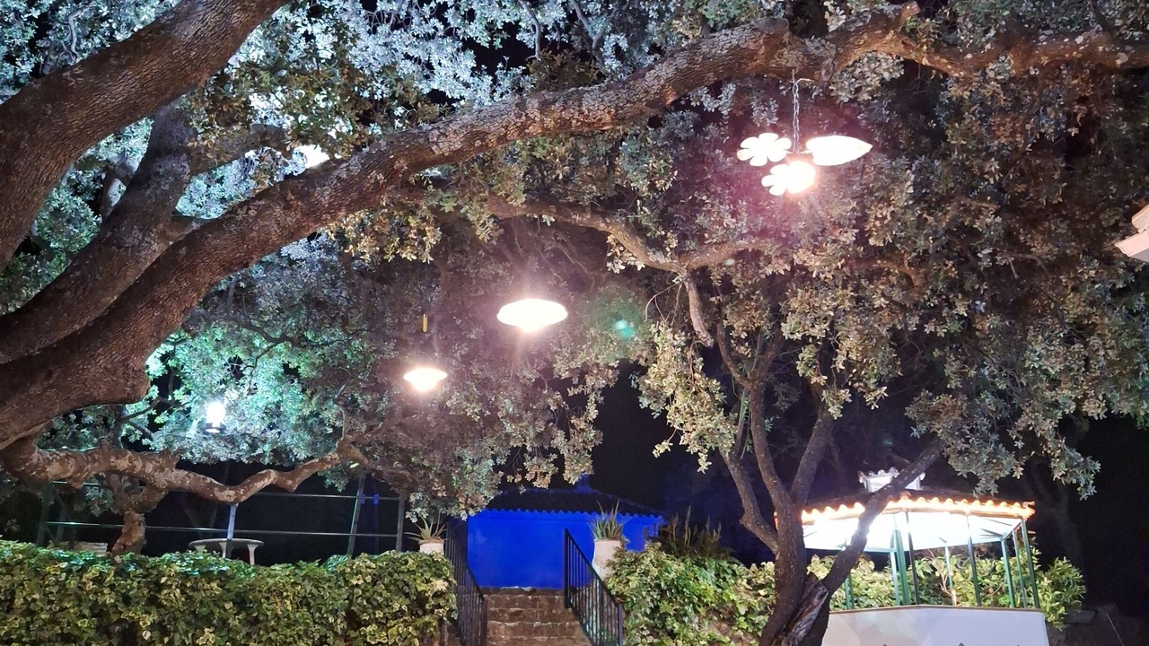 Photo of Outdoor in Priego de Cordoba